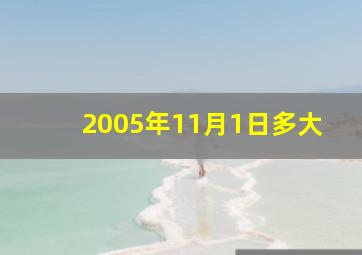 2005年11月1日多大