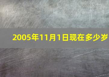 2005年11月1日现在多少岁