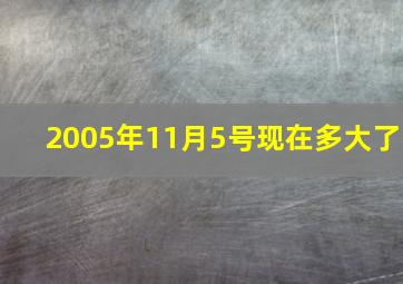 2005年11月5号现在多大了