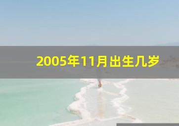 2005年11月出生几岁