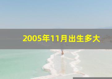 2005年11月出生多大