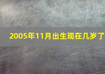 2005年11月出生现在几岁了