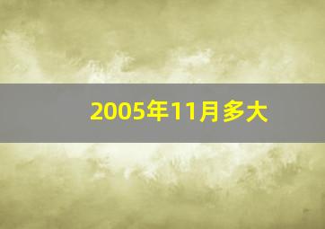 2005年11月多大