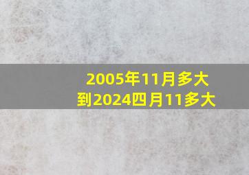 2005年11月多大到2024四月11多大