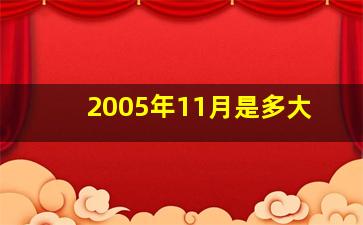 2005年11月是多大