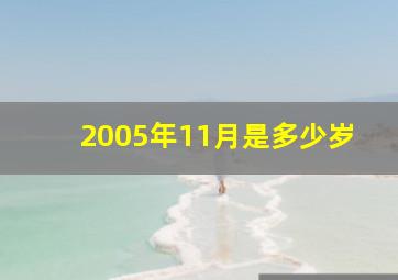 2005年11月是多少岁