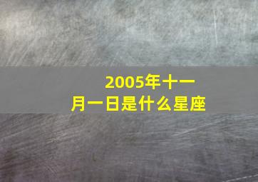 2005年十一月一日是什么星座