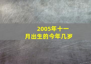 2005年十一月出生的今年几岁