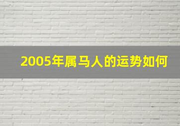 2005年属马人的运势如何