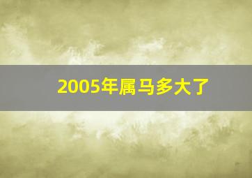 2005年属马多大了