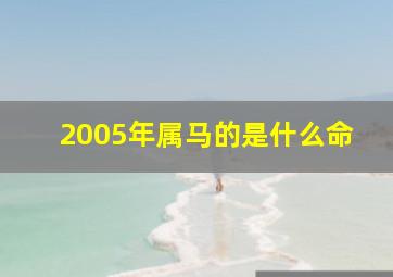 2005年属马的是什么命