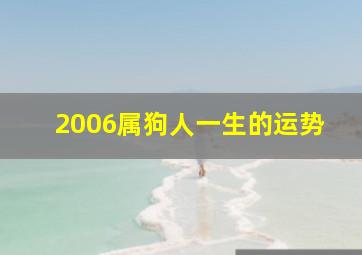 2006属狗人一生的运势