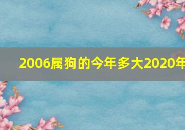 2006属狗的今年多大2020年