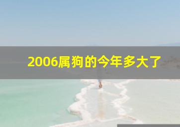 2006属狗的今年多大了