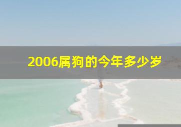 2006属狗的今年多少岁