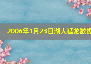 2006年1月23日湖人猛龙数据