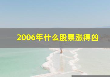 2006年什么股票涨得凶