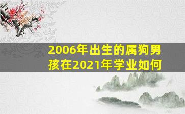 2006年出生的属狗男孩在2021年学业如何