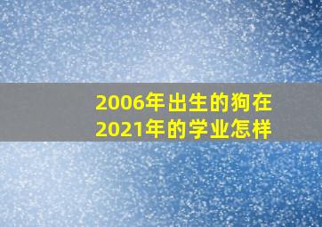 2006年出生的狗在2021年的学业怎样