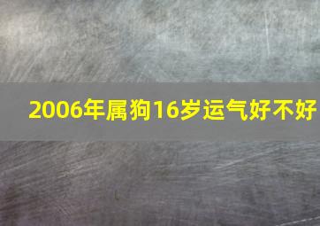 2006年属狗16岁运气好不好