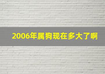 2006年属狗现在多大了啊