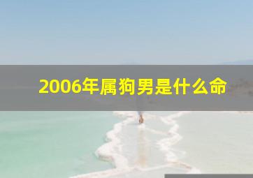 2006年属狗男是什么命