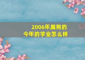 2006年属狗的今年的学业怎么样