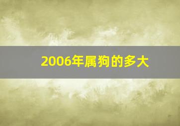 2006年属狗的多大