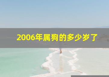 2006年属狗的多少岁了