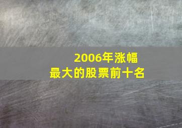 2006年涨幅最大的股票前十名