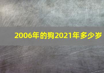 2006年的狗2021年多少岁