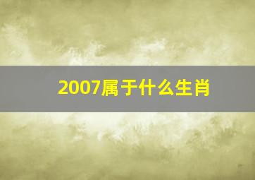 2007属于什么生肖