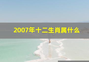 2007年十二生肖属什么