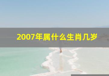 2007年属什么生肖几岁