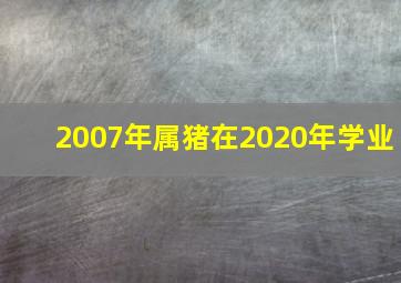 2007年属猪在2020年学业