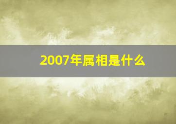 2007年属相是什么