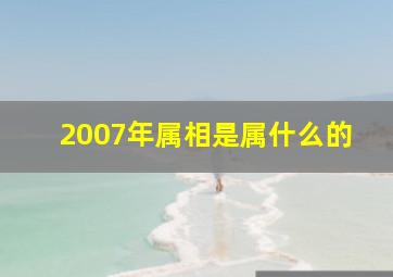 2007年属相是属什么的