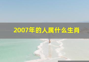 2007年的人属什么生肖