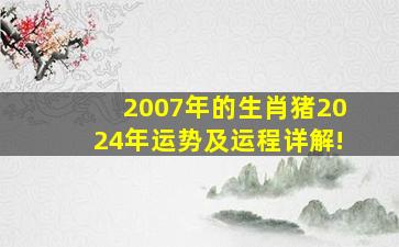 2007年的生肖猪2024年运势及运程详解!