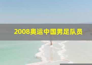 2008奥运中国男足队员