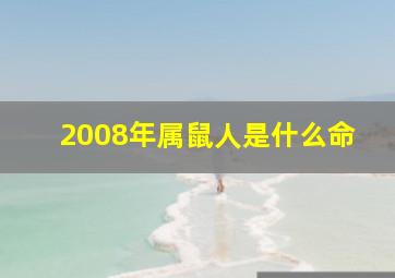 2008年属鼠人是什么命