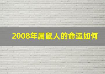 2008年属鼠人的命运如何