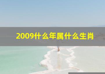 2009什么年属什么生肖