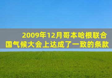 2009年12月哥本哈根联合国气候大会上达成了一致的条款