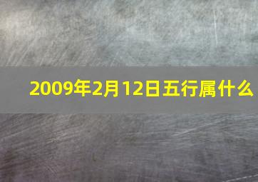 2009年2月12日五行属什么