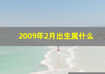 2009年2月出生属什么