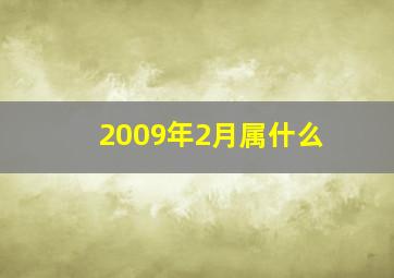 2009年2月属什么