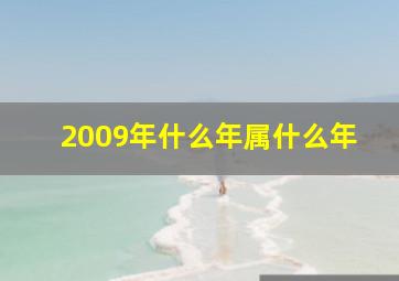 2009年什么年属什么年