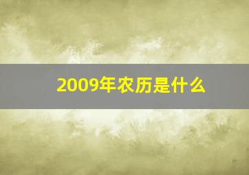 2009年农历是什么