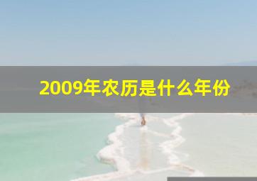 2009年农历是什么年份